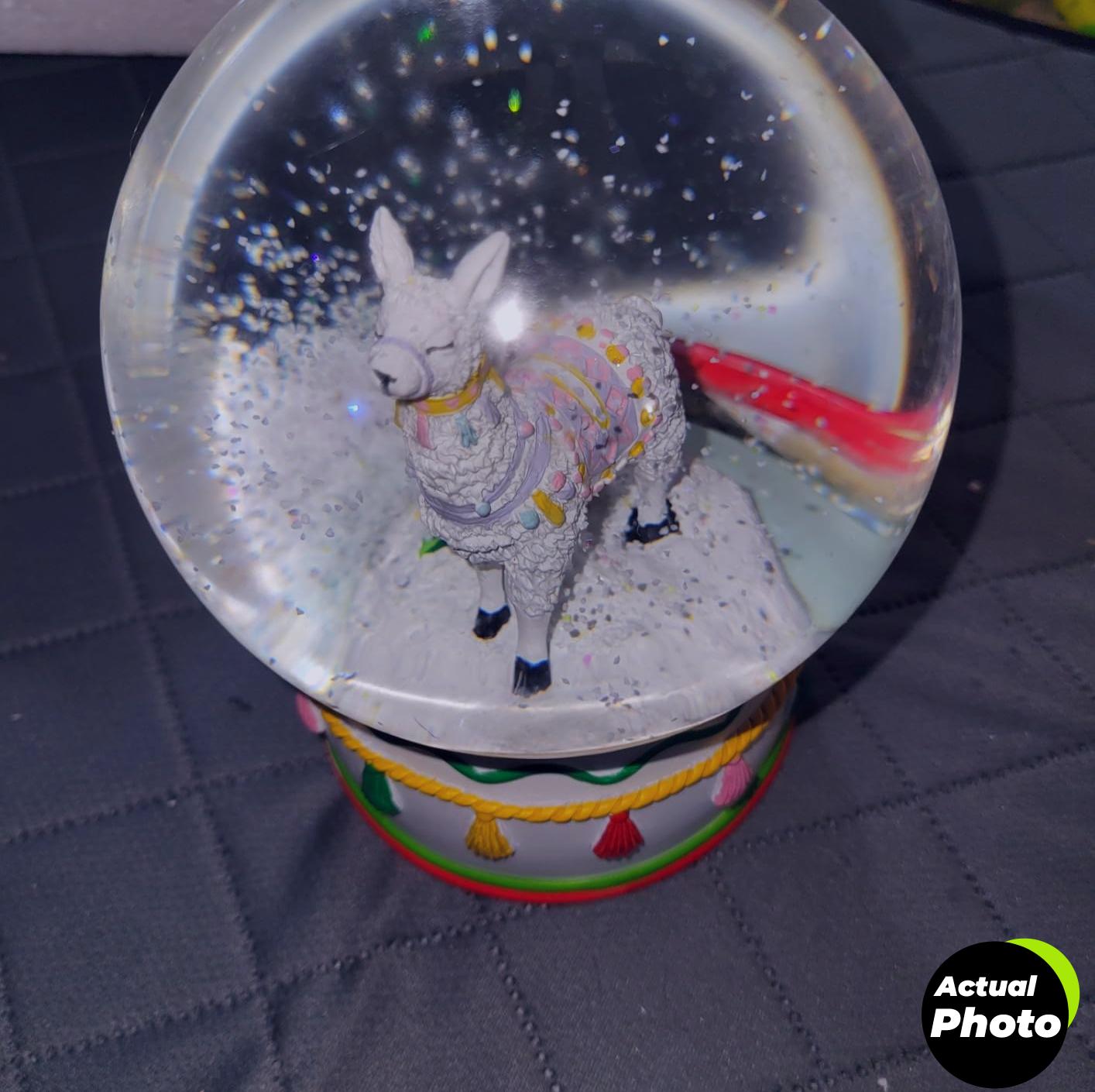 bdor-dinosaur-snow-globe-foto-3