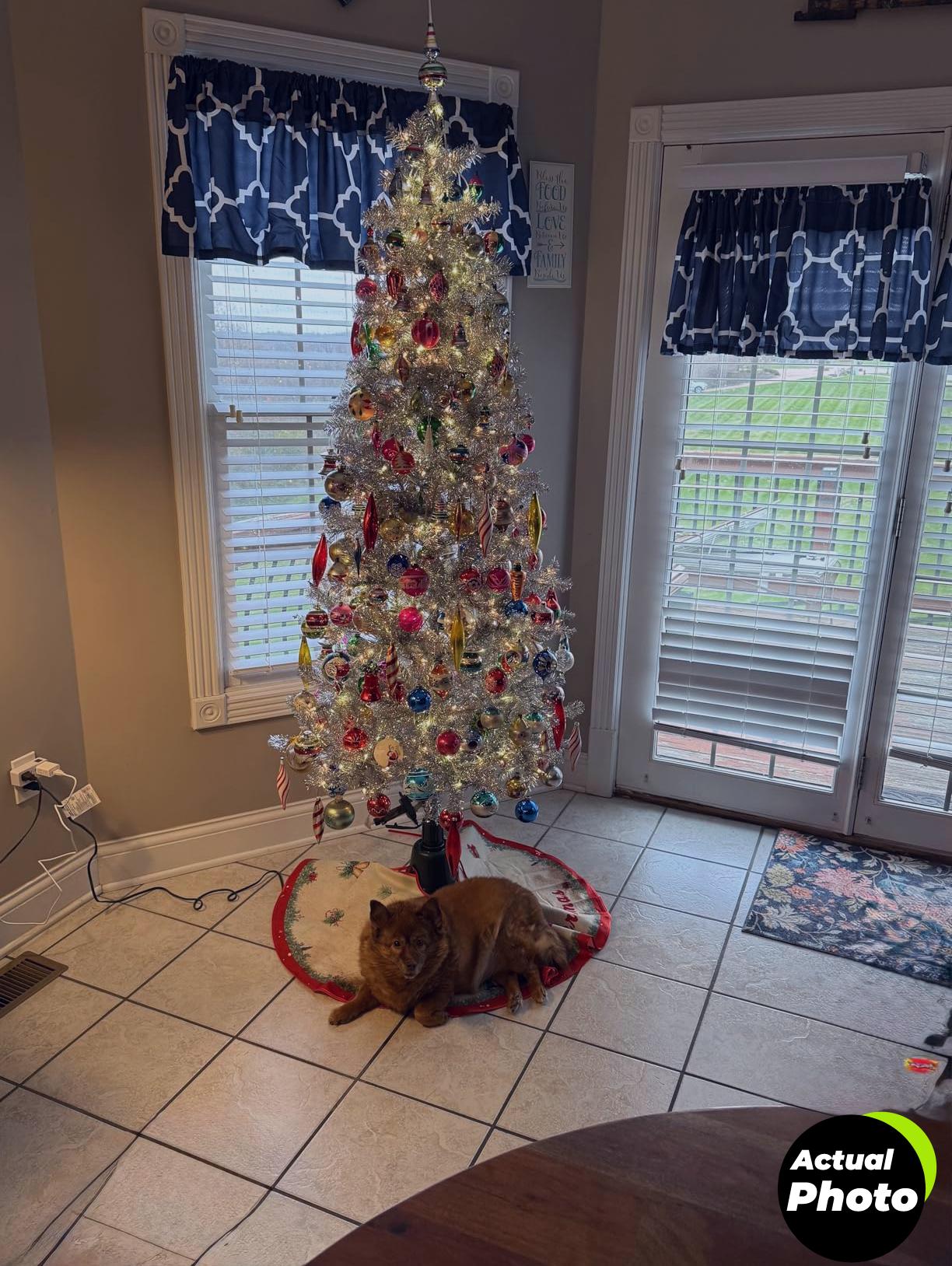 dg-direct-christmas-tree-stand-360-spin-foto-1