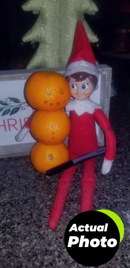 elf-on-the-shelf-boy-scout-blue-eyes-foto-3