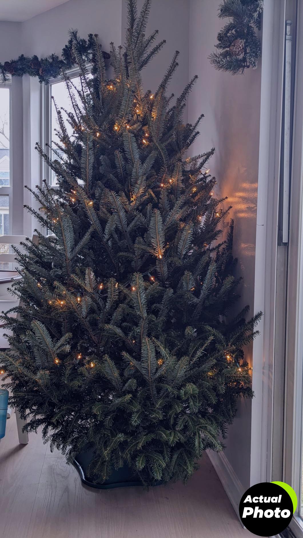 jackpost-christmas-tree-stand-green-plastic-foto-1