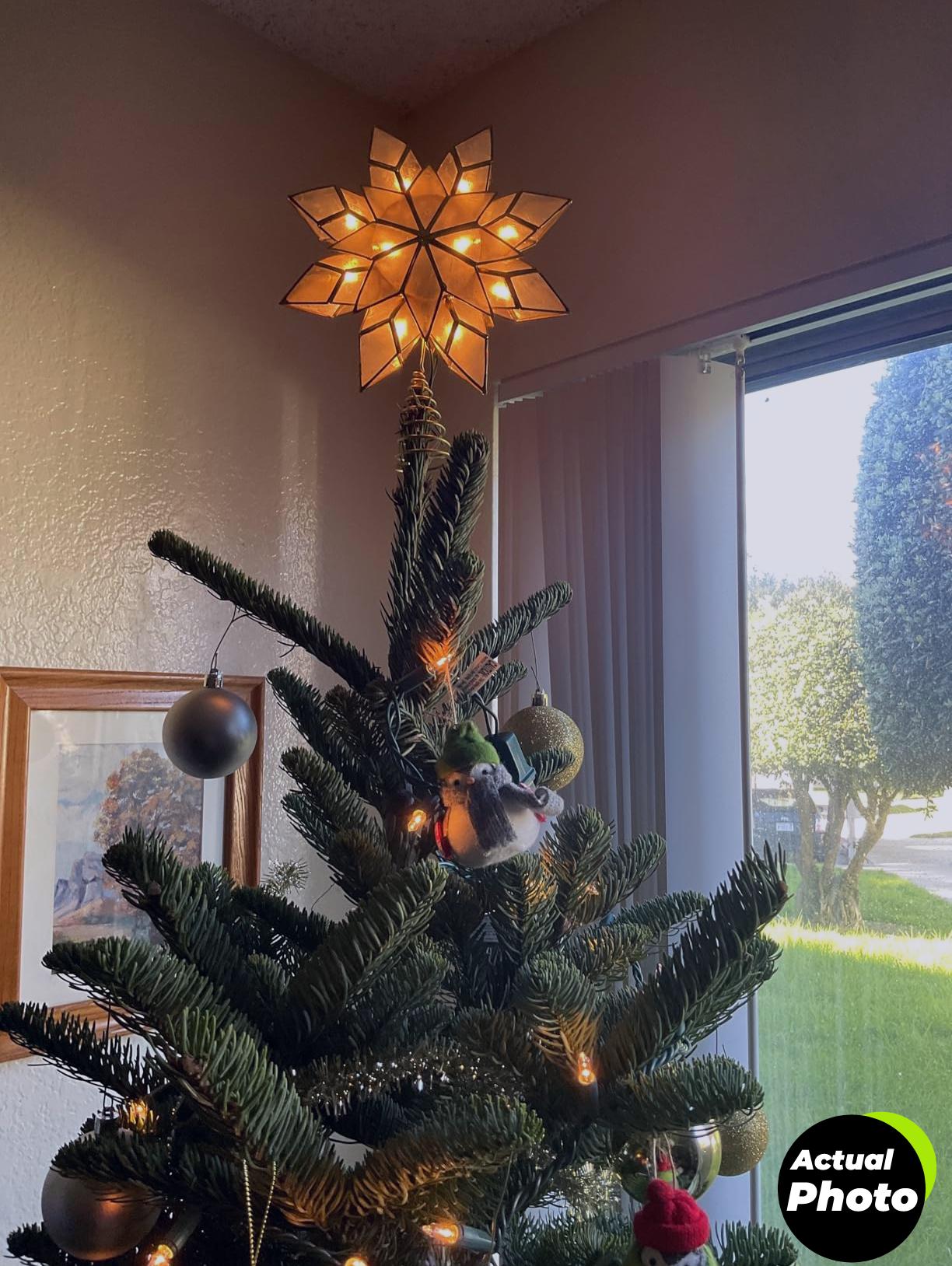 kurt-adler-8-5-inch-capiz-star-tree-topper-foto-1