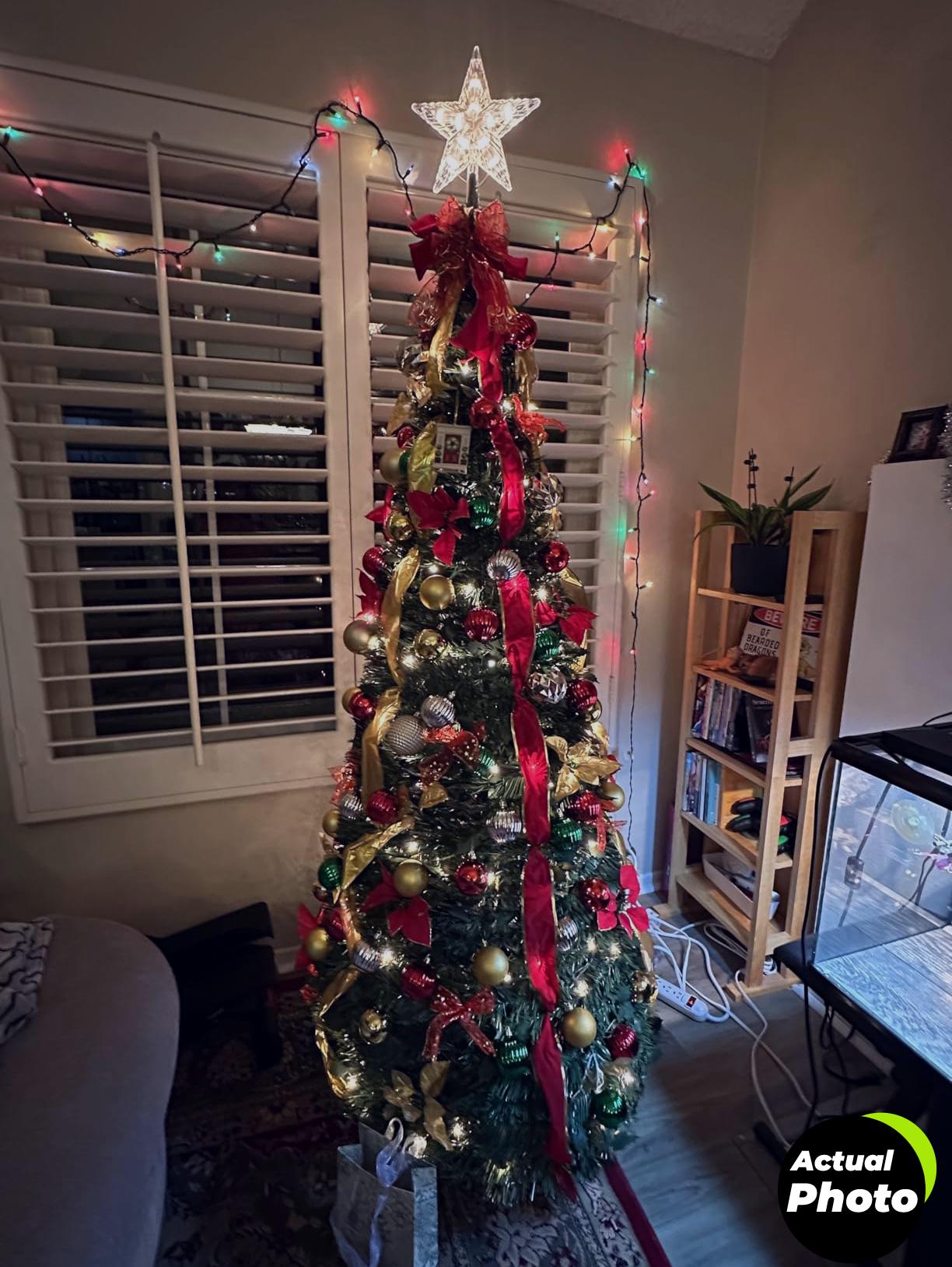 lighted-star-tree-topper-10-bulbs-foto-1