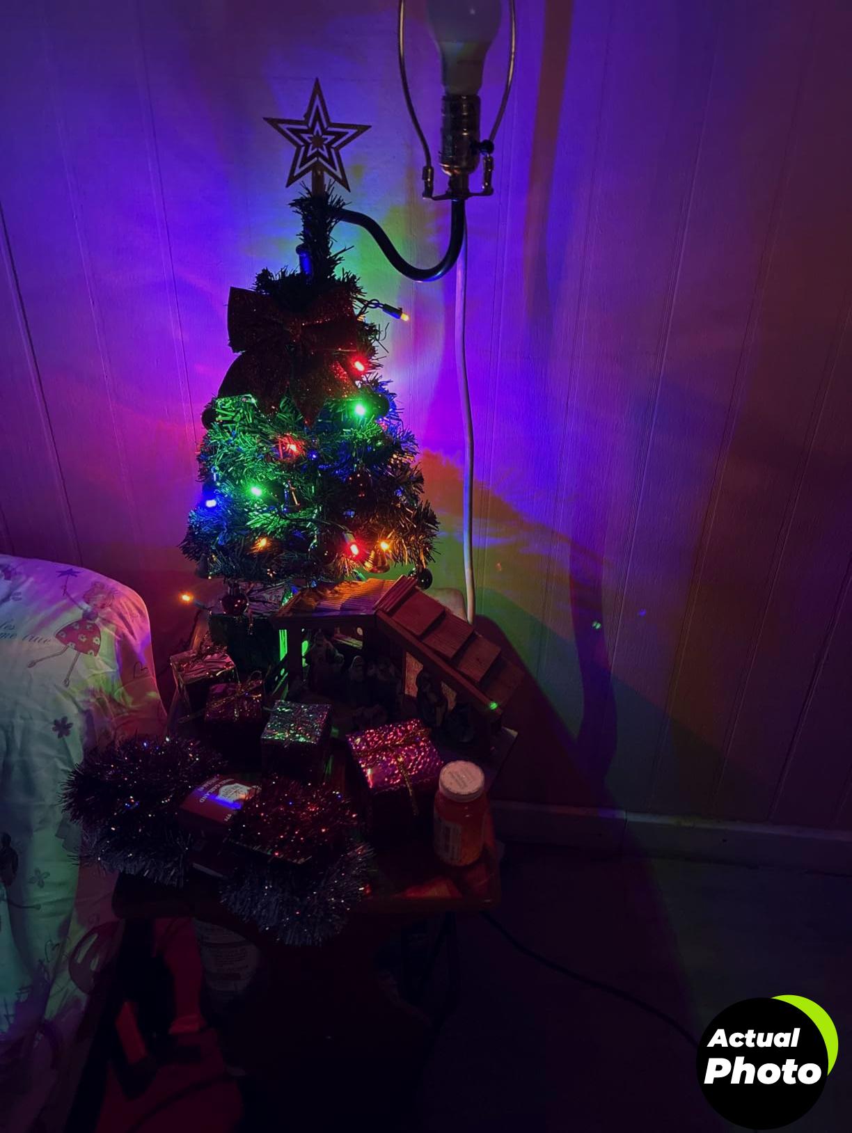 mini-christmas-tree-lights-23-inch-prelit-foto-3