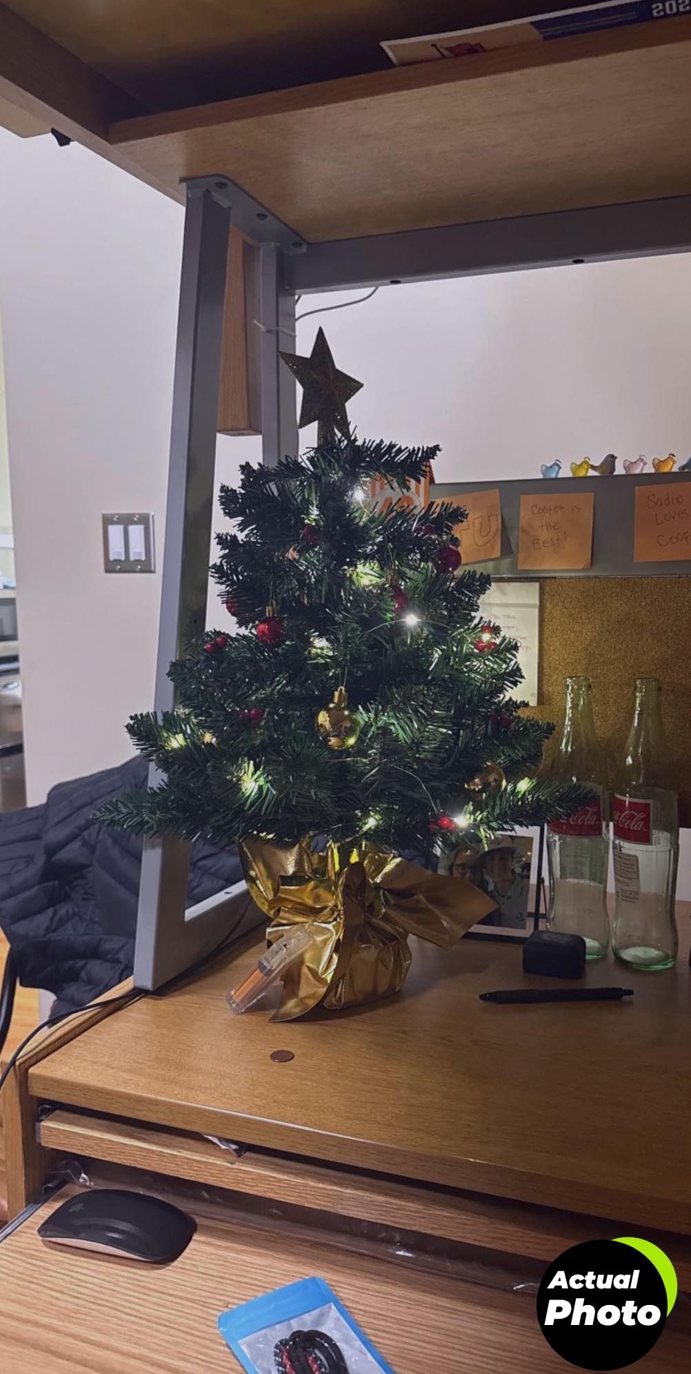 mini-christmas-tree-red-24-inch-foto-1