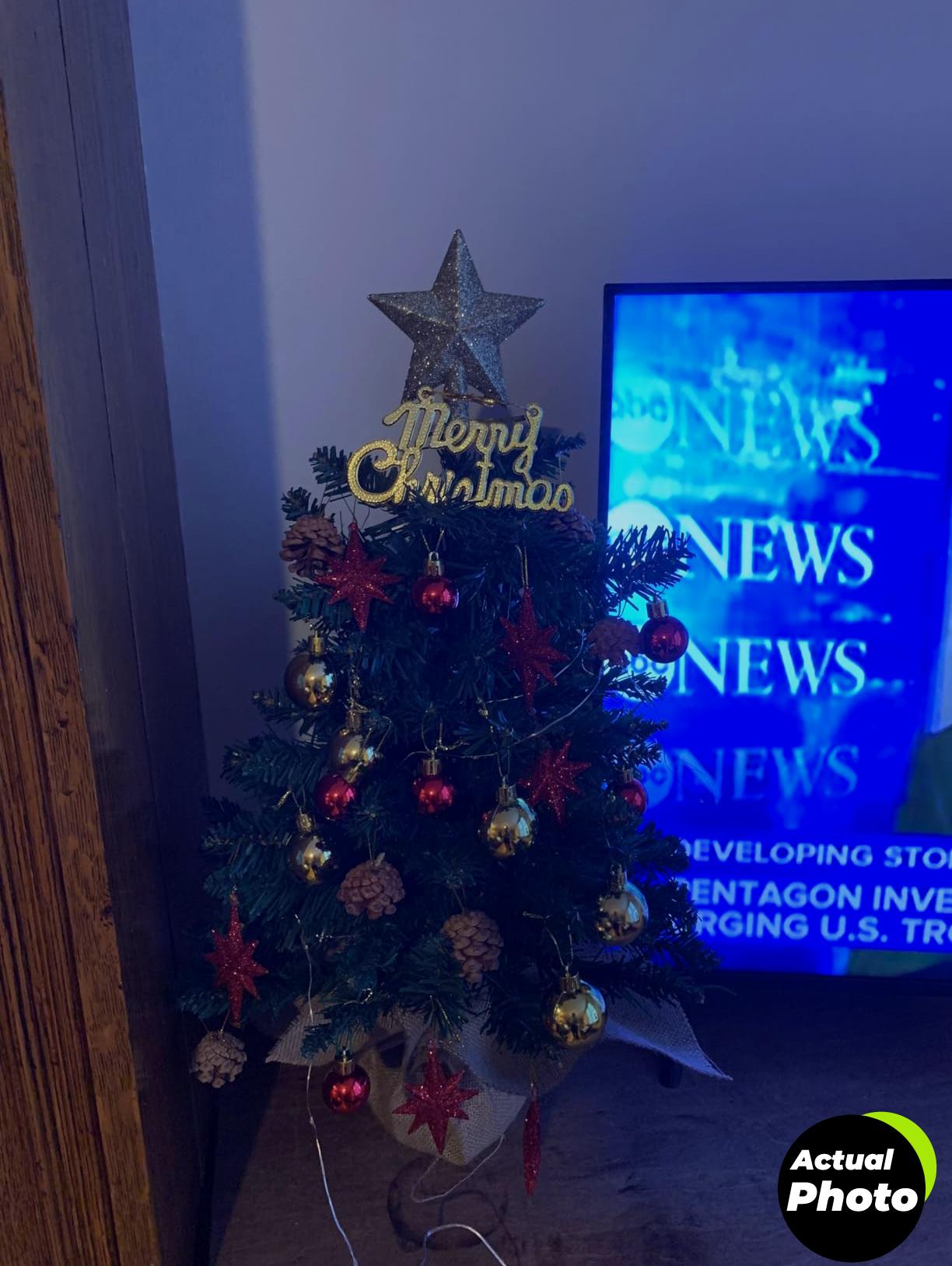 mini-christmas-tree-red-24-inch-foto-3