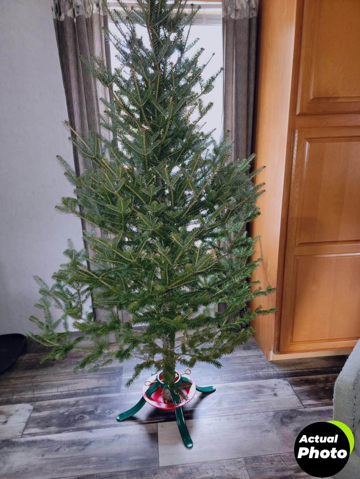 national-holiday-5164-steel-tree-stand-7-foto-3