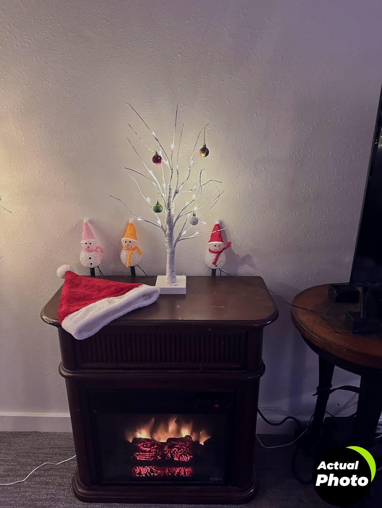 peiduo-fairy-light-birch-tree-2pk-foto-3