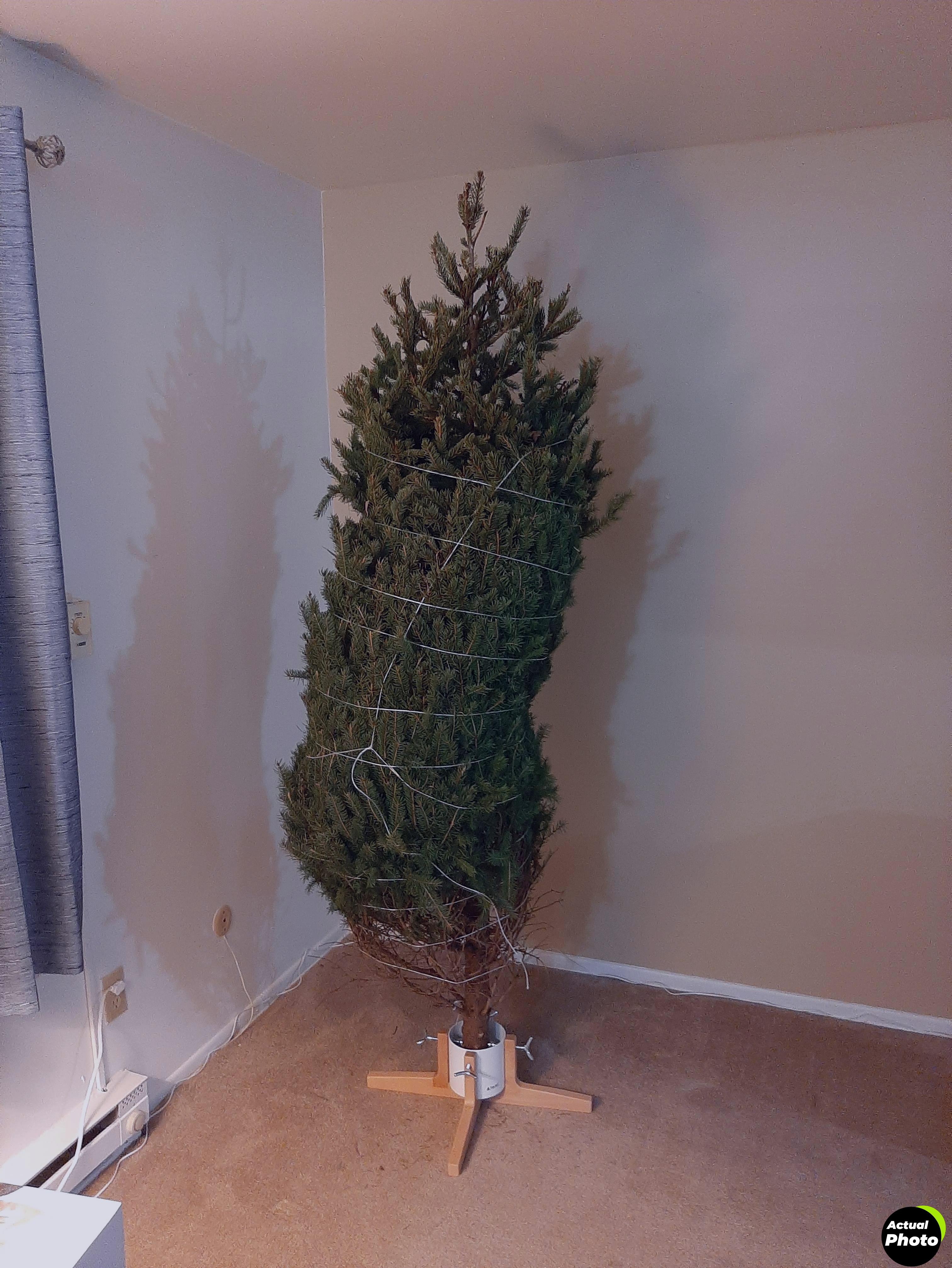 tree-nest-christmas-stand-7ft-white-foto-3