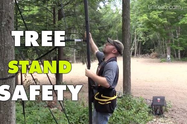 How to choose a stable and safe tree stand - Tinselio